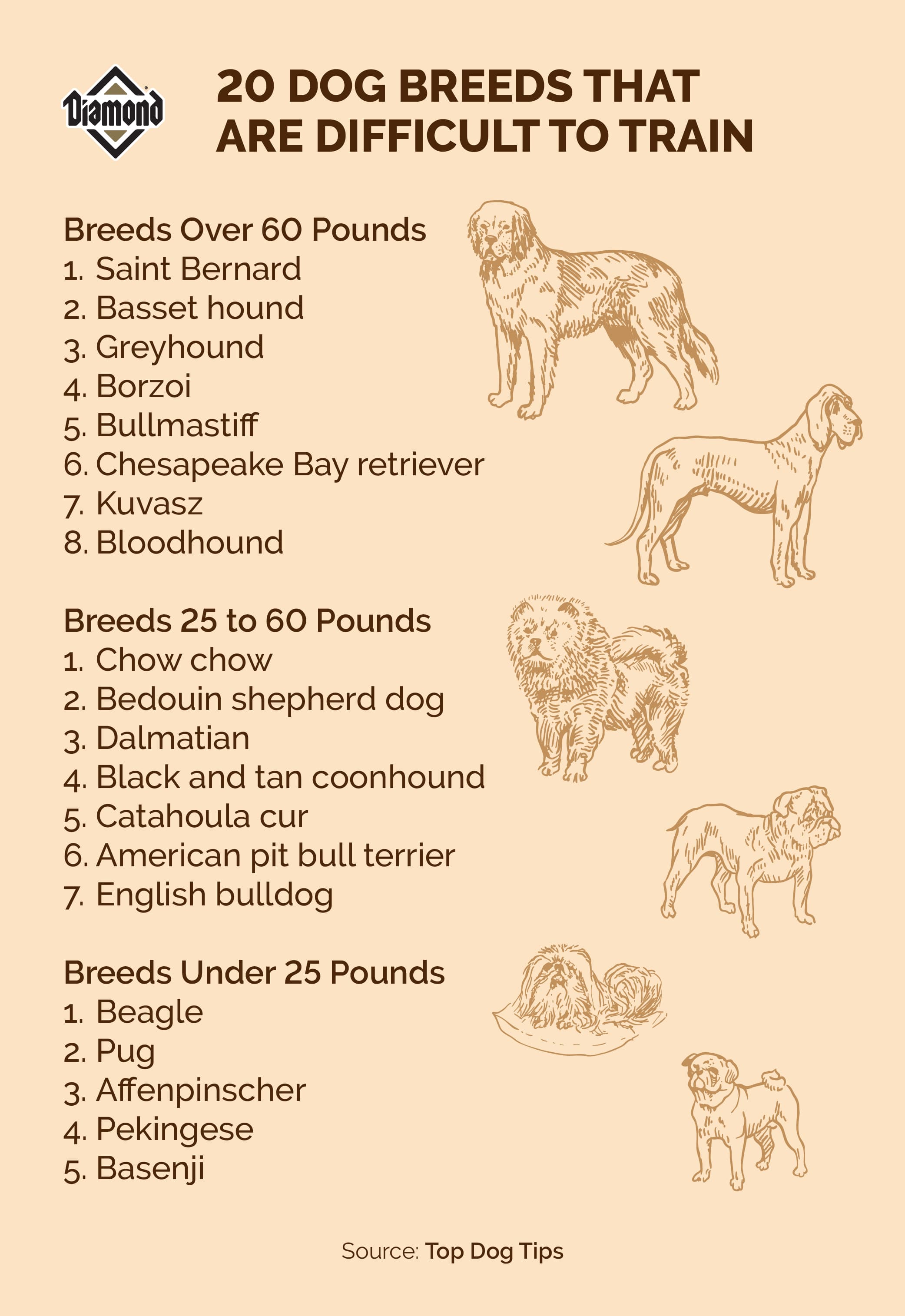 An interior graphic listing 20 different dog breeds that are difficult to train and grouping them by weight.