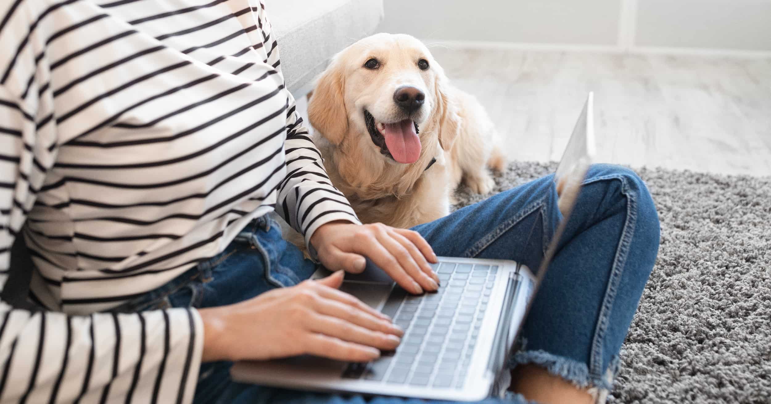 A dog lying on the floor next to a woman working on a laptop.