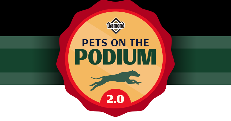 Mobile Logo