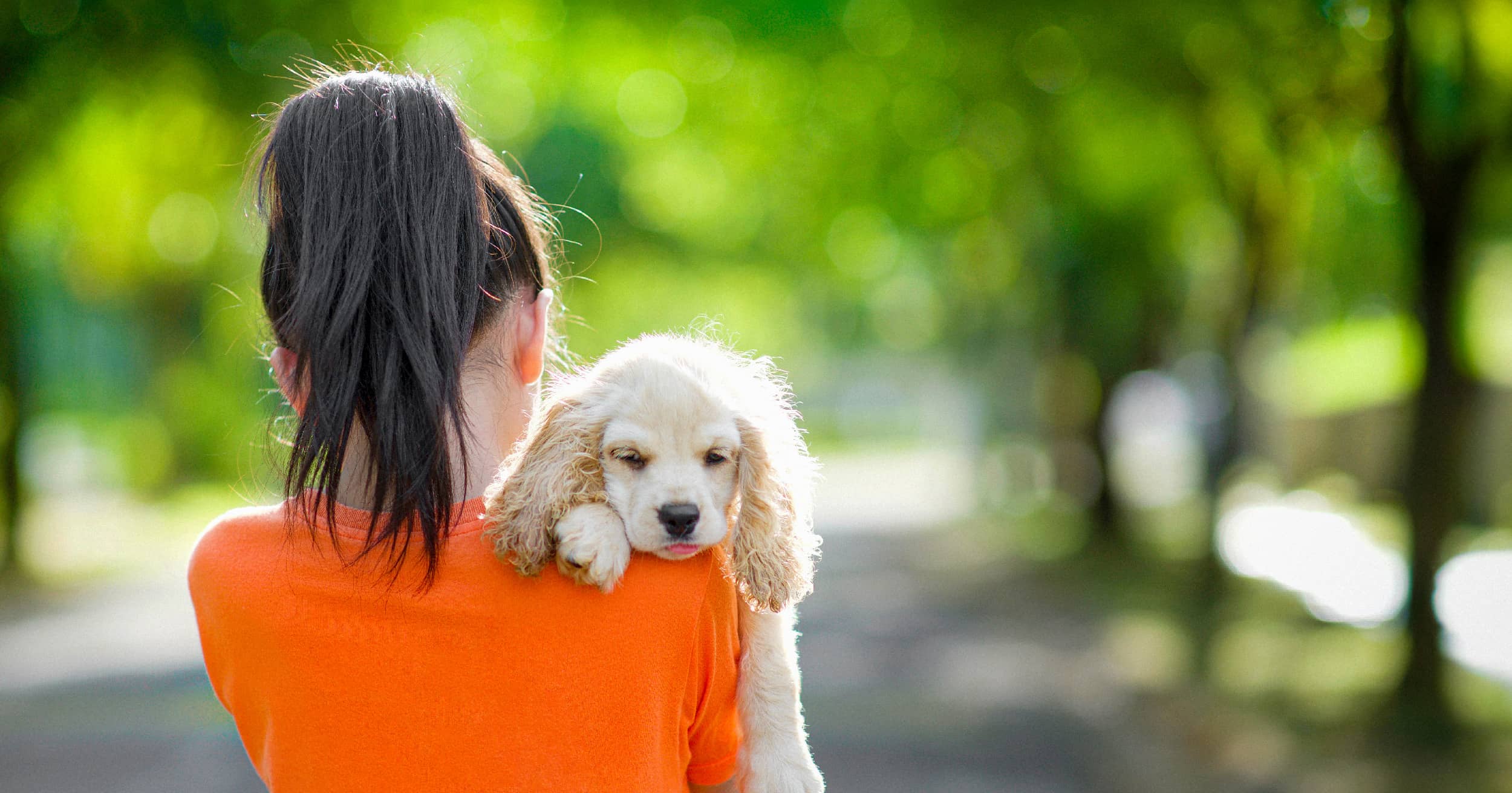 A young girl walking through a park holding a small puppy on her shoulder.