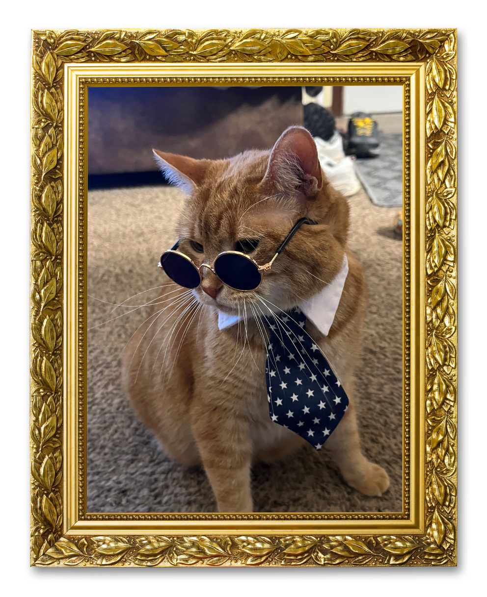 A cat in a picture frame for the Cat Club album on the Diamond Family Album.