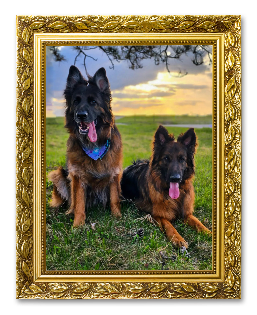 An image of two dogs in a picture frame for the Dog Pile album on the Diamond Family Album.