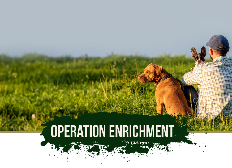 A man sitting in the grass holding a small dog in his lap with a brown dog on a leash beside him.