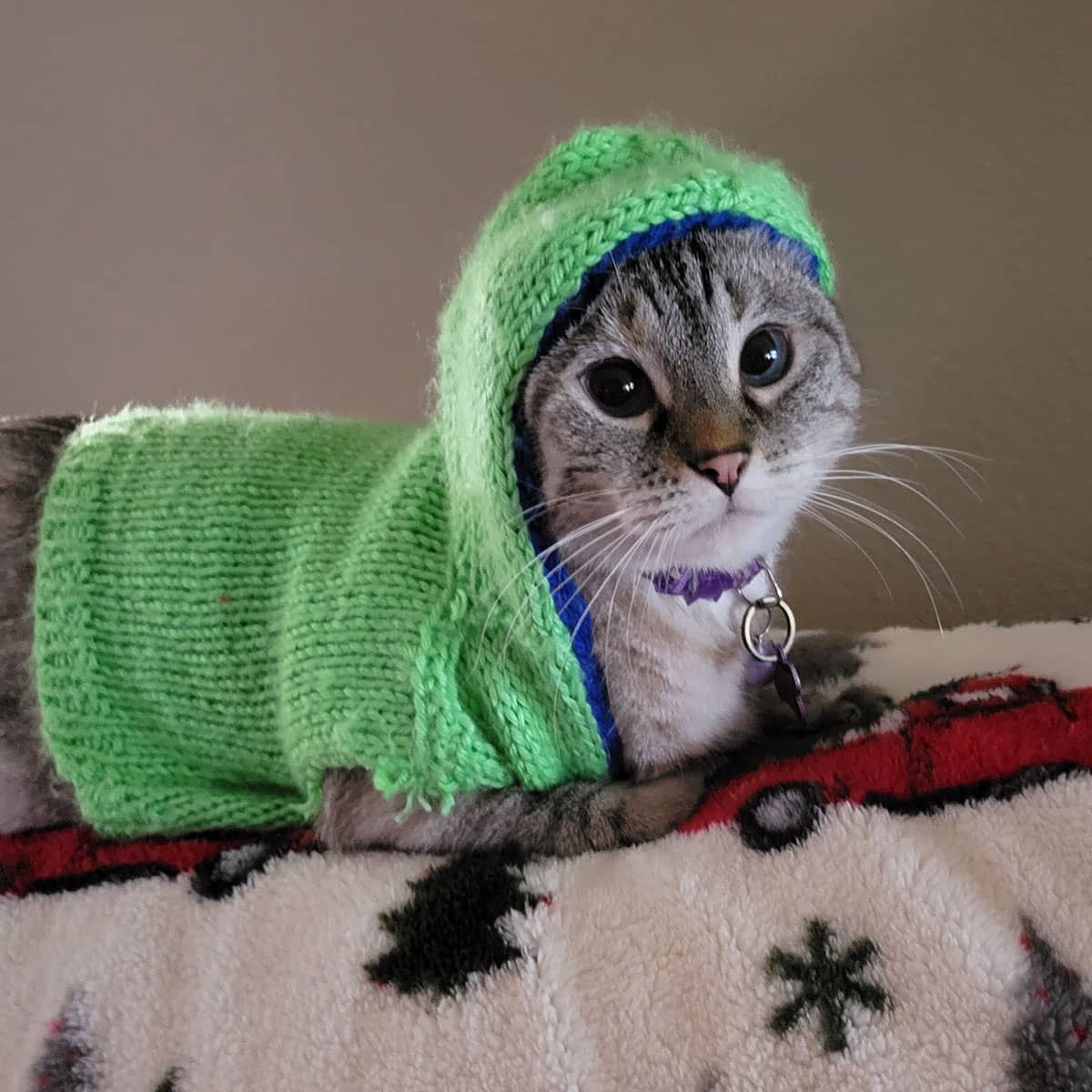 A black and gray striped cat lying on a blanket wearing a green knitted sweater with a hood over its head.