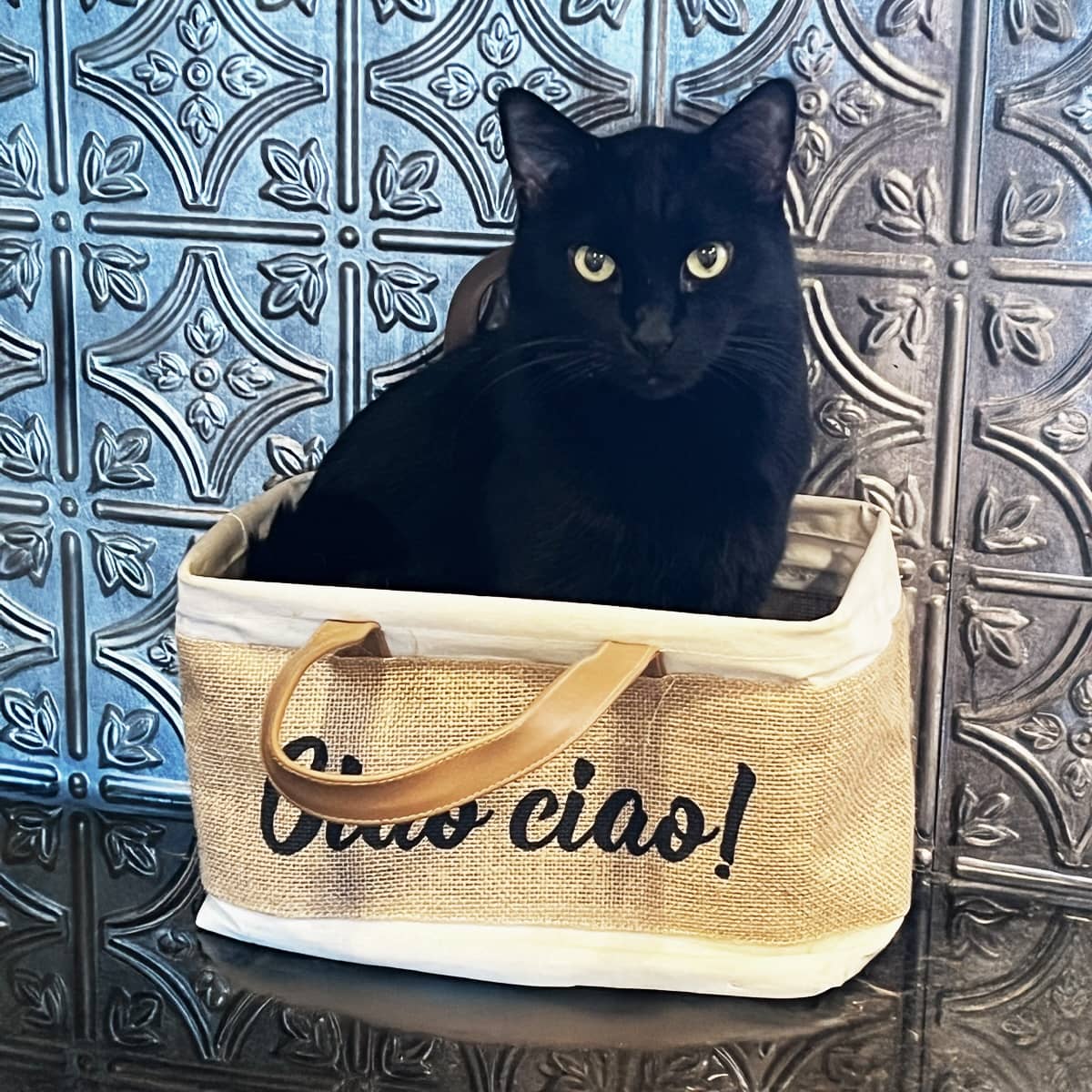 A black cat sitting in a small basket on top of a kitchen counter.