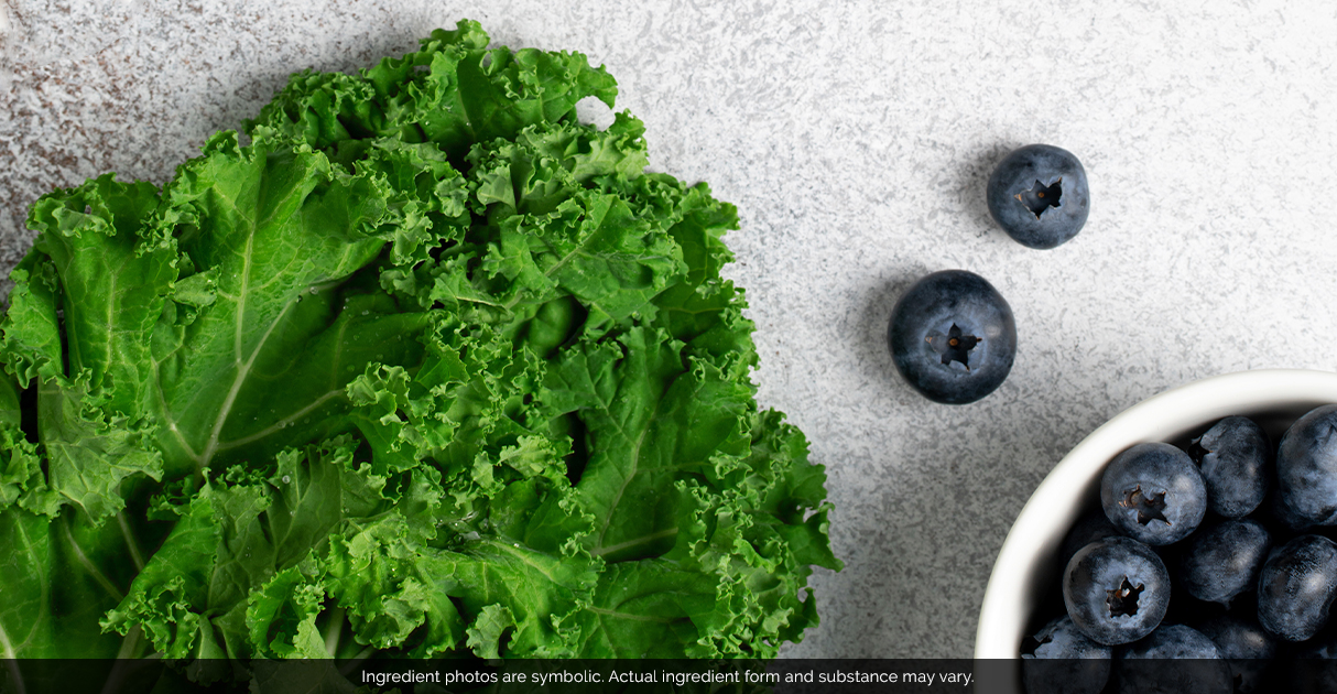 Leaves of kale lying next to a bowl of blueberries on a table.