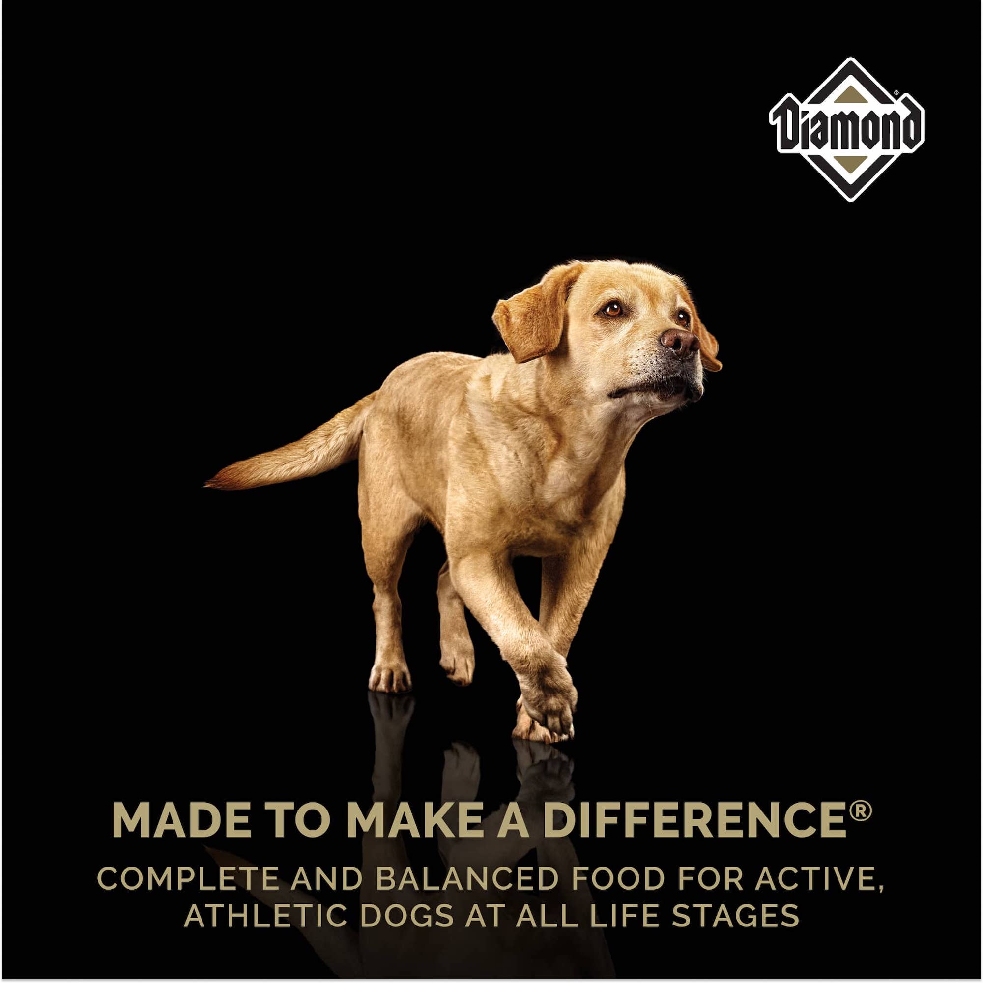 A brown dog trotting above text that reads, ‘Made to Make a Difference - Complete and balanced food for active, athletic dogs at all life stages’.