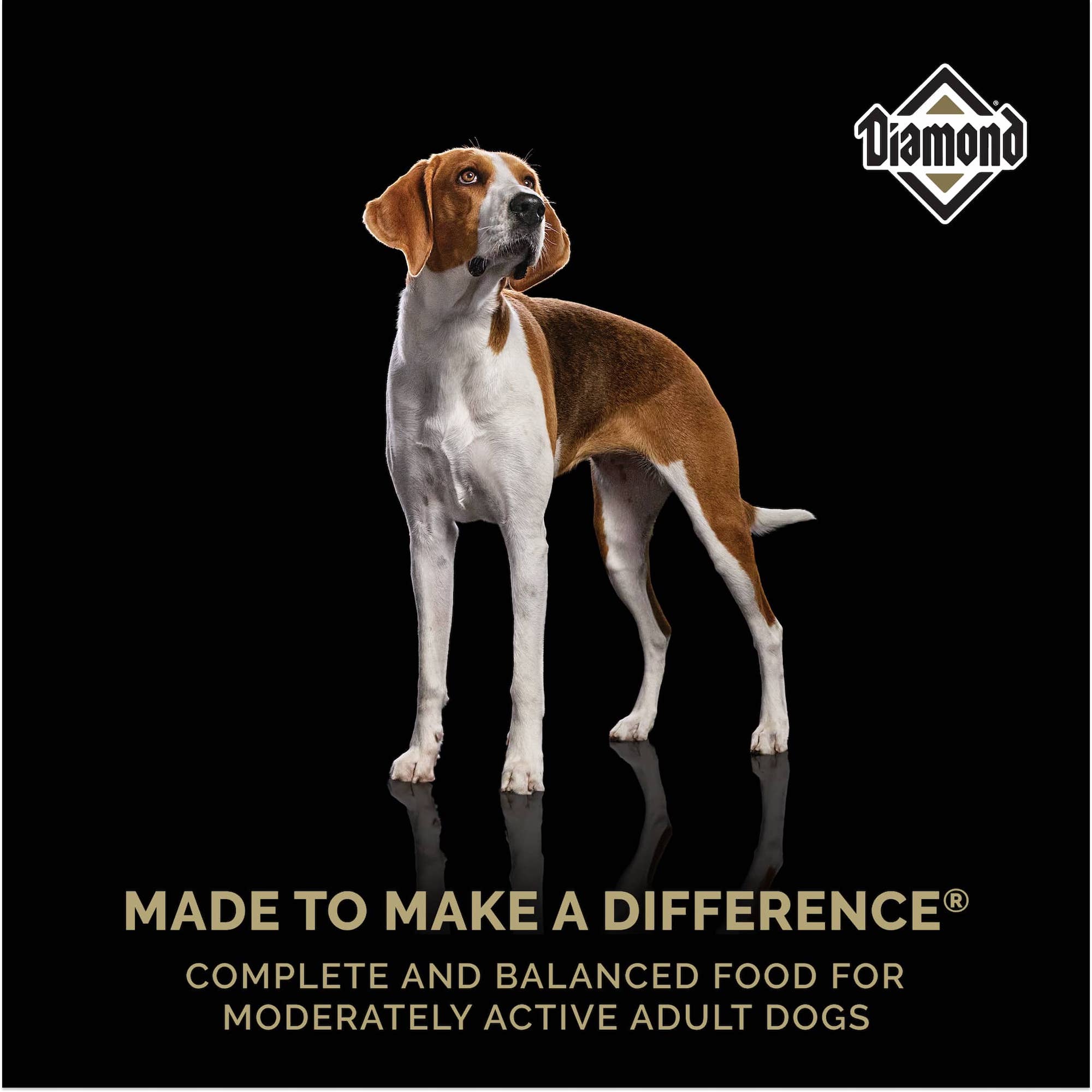 A brown long-haired dog standing above text that reads, ‘Made to Make a Difference - Complete and balanced food for moderately active adult dogs’.