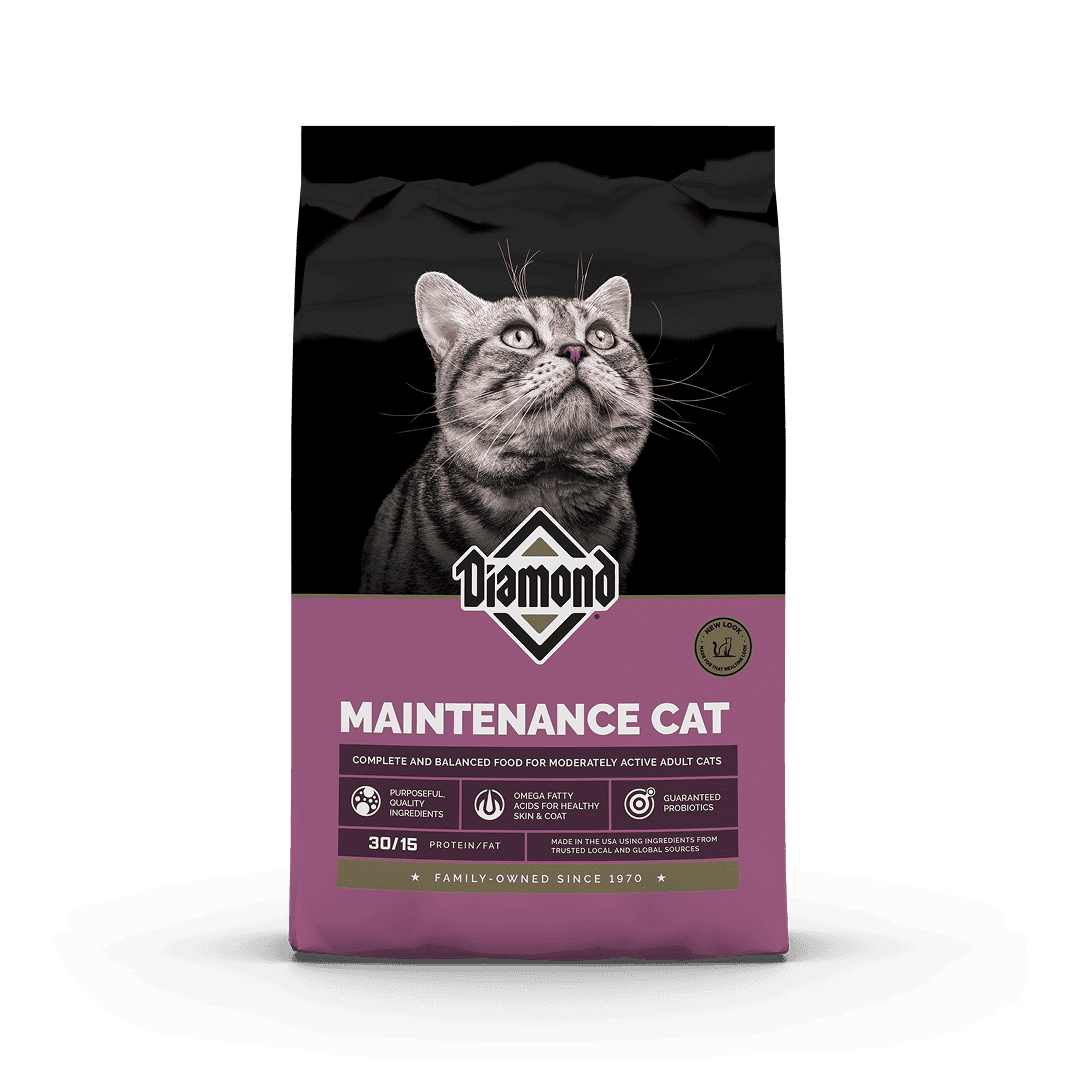 The front of a bag of Diamond Maintenance Adult Cat formula.