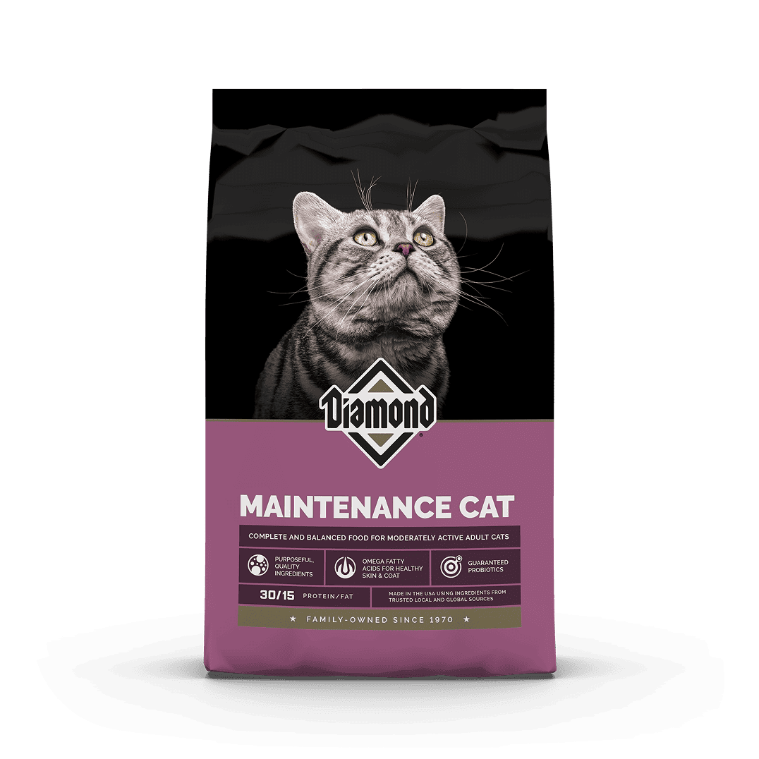The front of a bag of Diamond Maintenance Adult Cat formula.