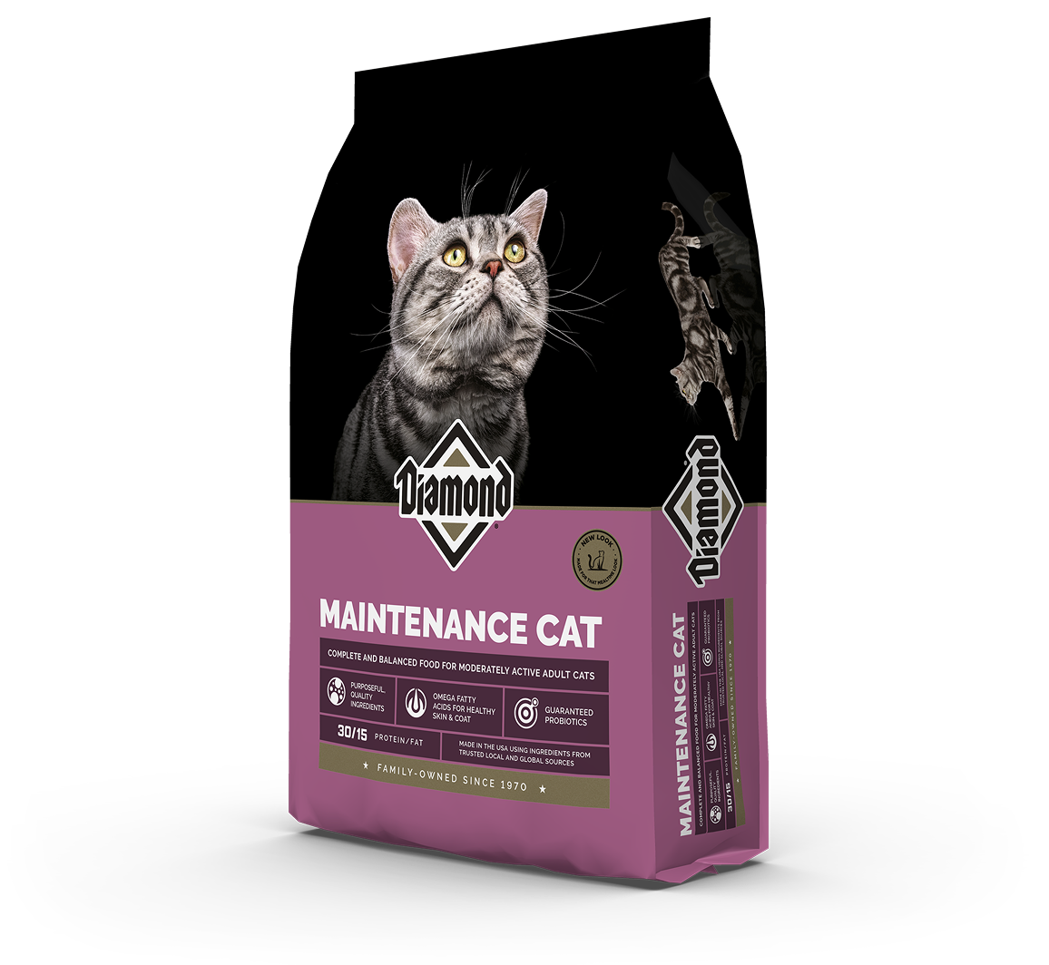The front and side view of a bag of Diamond Maintenance Cat formula.