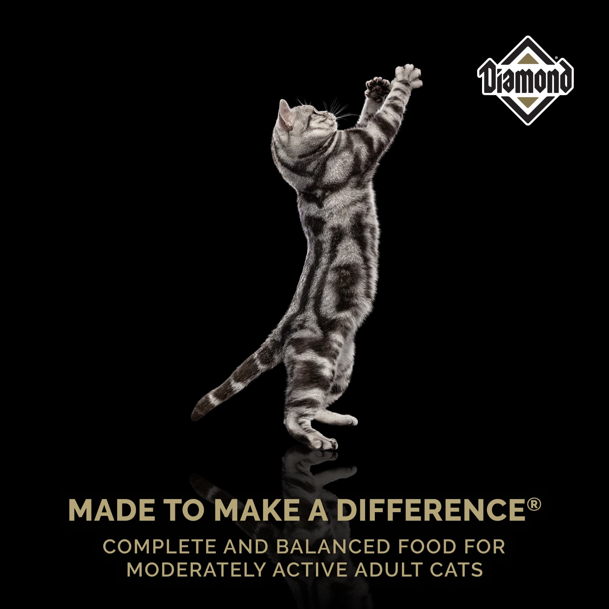 A gray cat with black stripes standing on its hind legs above text that reads, ‘Made to Make a Difference - Complete and balanced food for moderately active adult cats’.