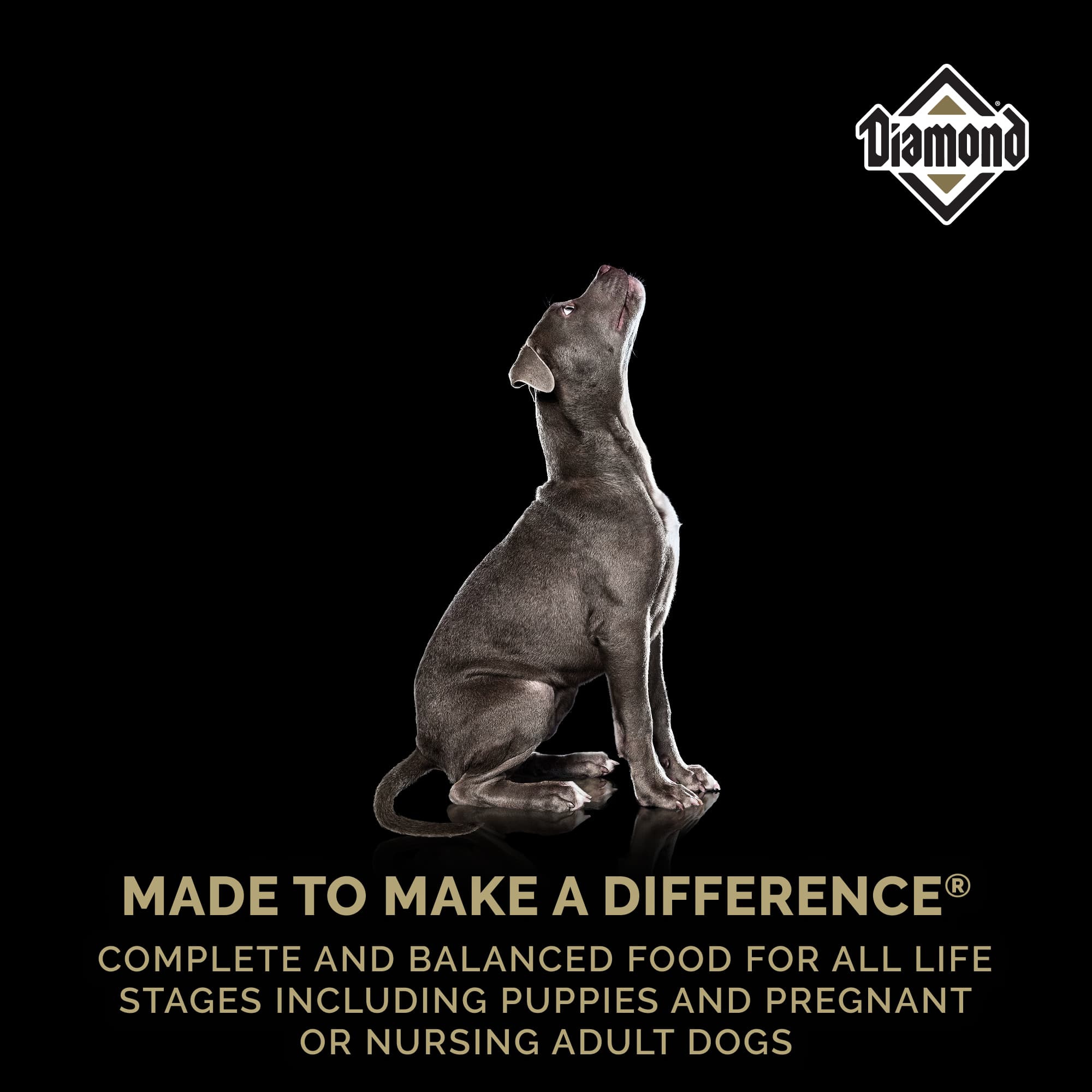 A silver puppy sitting above text that reads, ‘Made to Make a Difference - Complete and balanced food for all life stages including puppies and pregnant or nursing adult dogs’.