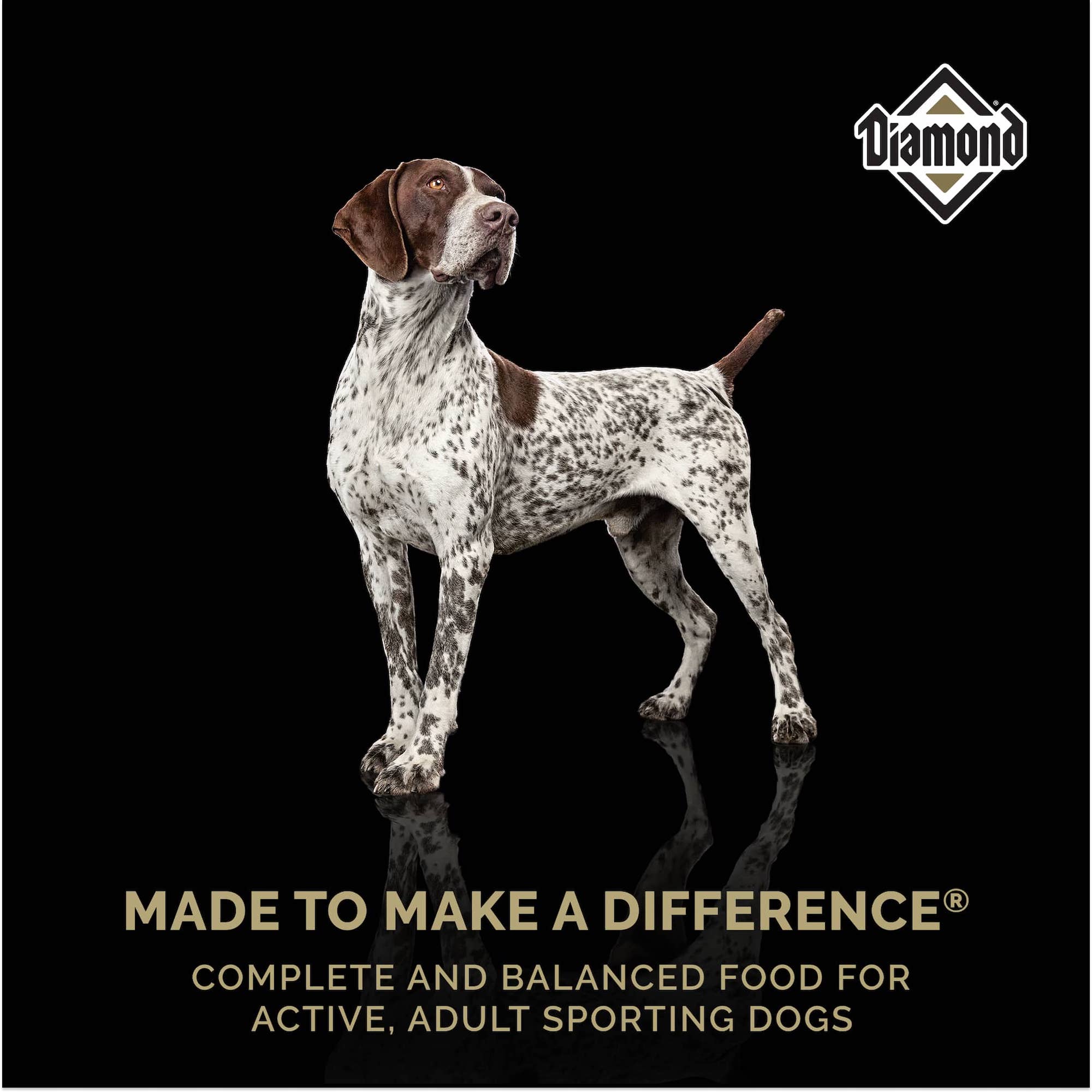 A white dog with black and brown spots standing above text that reads, ‘Made to Make a Difference - Complete and balanced food for active, adult sporting dogs’.