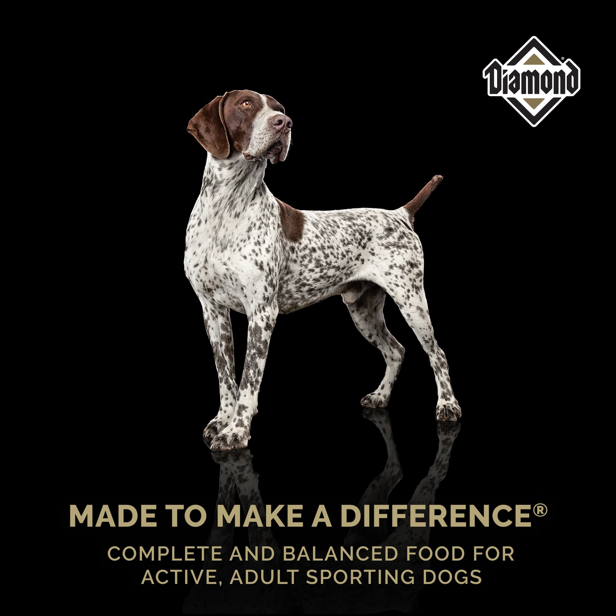 A white dog with black and brown spots standing above text that reads, ‘Made to Make a Difference - Complete and balanced food for active, adult sporting dogs’.