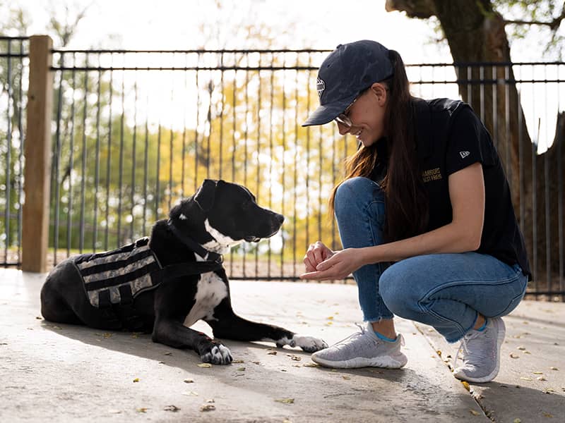 A young woman kneeling down on a sidewalk next to Gregory, a boxer/Labrador mix.