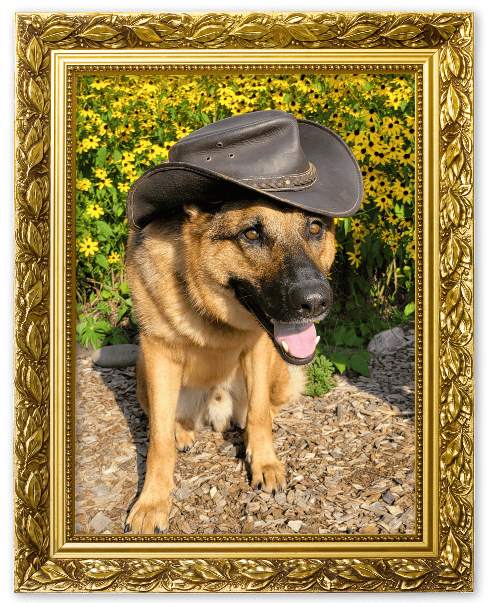 A dog in a leather hat in a picture frame.