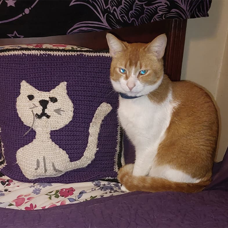An orange and white cat sitting on a bed next to a purple knitted cat print pillow.