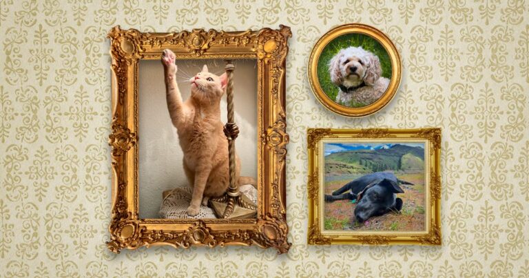 Three pet portraits in gold frames on a decorative gold wallpaper depicting a cat with its paw raised, a fluffy white dog in a circular frame and a black dog lying in a green landscape.