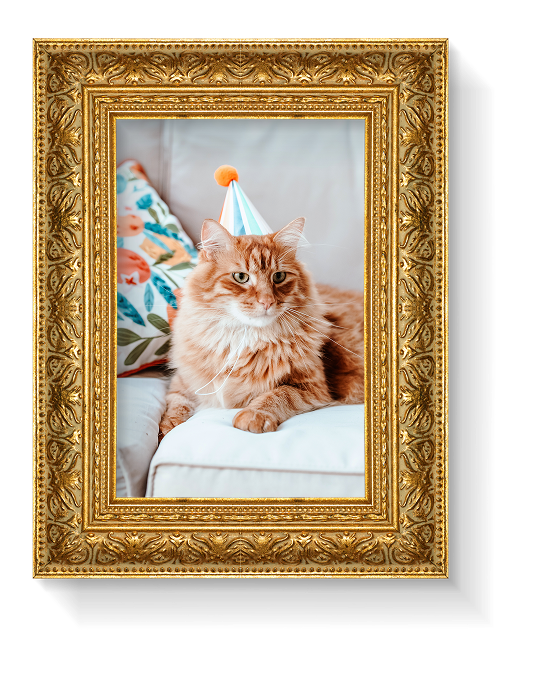 Featured Frame