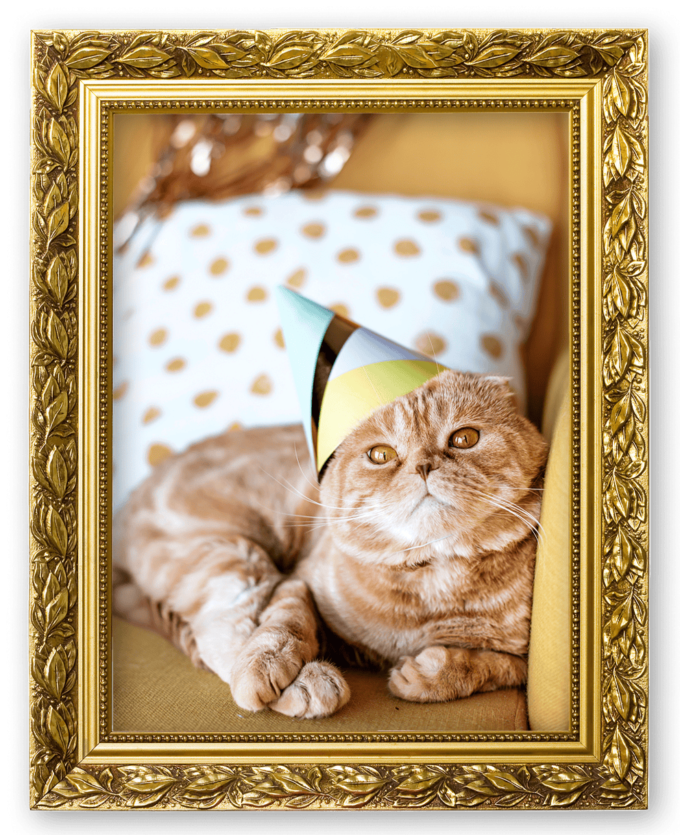 A cat wearing a party hat in a picture frame.