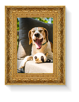 Featured Frame