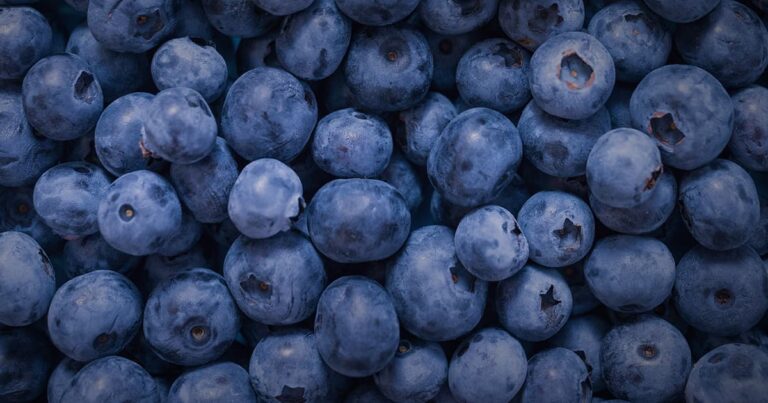 A close-up of a pile of freshly picked blueberries.